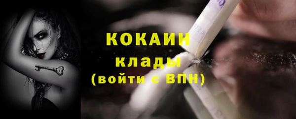 стаф Арсеньев
