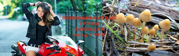 герыч Баксан