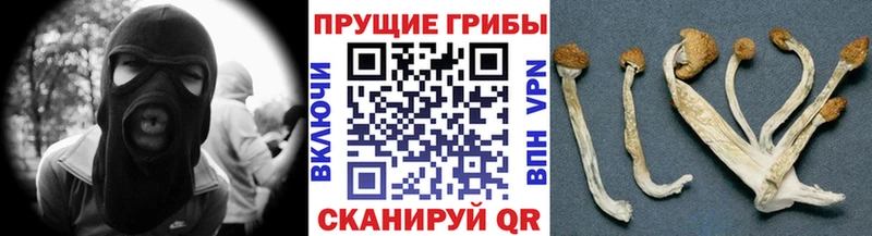 Галлюциногенные грибы мухоморы  OMG зеркало  Сосновоборск 